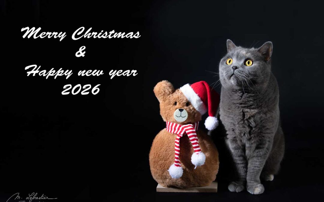 Fijne Kerstdagen en gelukkig nieuwjaar 2026!