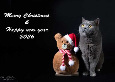 Fijne Kerstdagen en gelukkig nieuwjaar 2026! beste wensen myriam photo geldrop xmas 2025